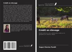 Buchcover von Crédit en élevage