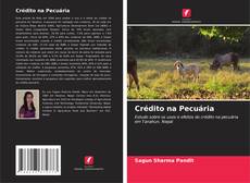 Bookcover of Crédito na Pecuária