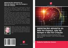 Bookcover of MEDITAÇÃO ADVAITA III: Não há espaço, não há tempo e não há Criação