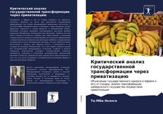 Bookcover of Критический анализ государственной трансформации через приватизацию