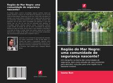 Região do Mar Negro: uma comunidade de segurança nascente? kitap kapağı