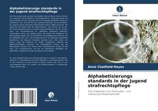 Buchcover von Alphabetisierungs standards in der Jugend strafrechtspflege