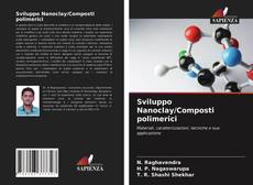 Sviluppo Nanoclay/Composti polimerici kitap kapağı