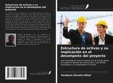 Buchcover von Estructura de activos y su implicación en el desempeño del proyecto