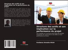 Buchcover von Structure des actifs et son implication sur la performance du projet