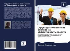 Bookcover of Структура активов и ее влияние на эффективность проекта