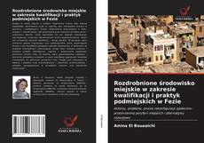 Portada del libro de Rozdrobnione środowisko miejskie w zakresie kwalifikacji i praktyk podmiejskich w Fezie