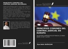 Bookcover of PRINCIPIOS COMUNES DEL CONTROL JUDICIAL EN EUROPA