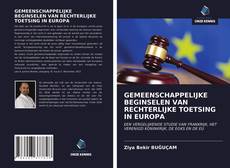 Buchcover von GEMEENSCHAPPELIJKE BEGINSELEN VAN RECHTERLIJKE TOETSING IN EUROPA