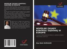 Borítókép a  WSPÓLNE ZASADY KONTROLI SĄDOWEJ W EUROPIE - hoz