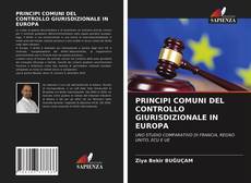 Borítókép a  PRINCIPI COMUNI DEL CONTROLLO GIURISDIZIONALE IN EUROPA - hoz