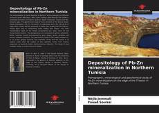 Depositology of Pb-Zn mineralization in Northern Tunisia kitap kapağı