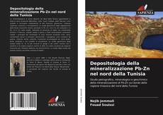 Portada del libro de Depositologia della mineralizzazione Pb-Zn nel nord della Tunisia