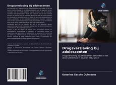 Buchcover von Drugsverslaving bij adolescenten