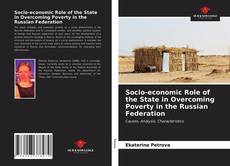 Socio-economic Role of the State in Overcoming Poverty in the Russian Federation的封面