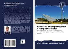 Bookcover of Качество электроэнергии и микроэлементы