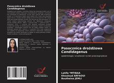 Buchcover von Posocznica drożdżowa Candidagenus