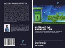 Bookcover of ALTERNATIEVE BRANDSTOFFEN