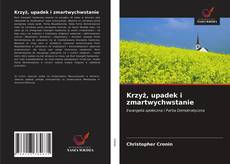 Krzyż, upadek i zmartwychwstanie的封面