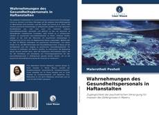 Bookcover of Wahrnehmungen des Gesundheitspersonals in Haftanstalten