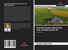 Capa do livro de A brief study about the city of Bom Jesus PI 