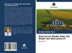 Bookcover of Eine kurze Studie über die Stadt von Bom Jesus PI