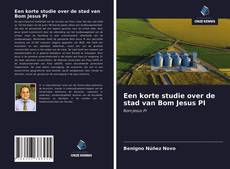 Bookcover of Een korte studie over de stad van Bom Jesus PI