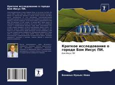 Bookcover of Краткое исследование о городе Бом Иисус ПИ.