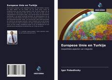 Bookcover of Europese Unie en Turkije