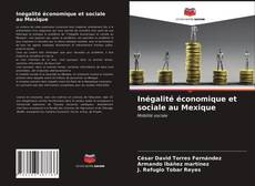 Обложка Inégalité économique et sociale au Mexique