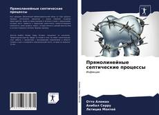 Portada del libro de Прямолинейные септические процессы