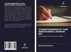 Bookcover of SCHRIJFONDERRICHT AAN AANSTAANDE LERAREN EFL