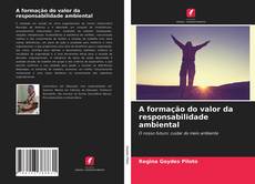 Buchcover von A formação do valor da responsabilidade ambiental