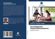 Portada del libro de Grundlegende Organisationstheorie