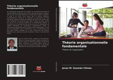 Обложка Théorie organisationnelle fondamentale