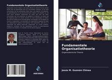 Bookcover of Fundamentele Organisatietheorie