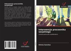 Interwencja pracownika socjalnego kitap kapağı