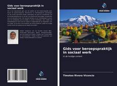 Bookcover of Gids voor beroepspraktijk in sociaal werk
