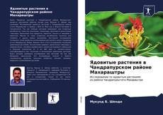 Buchcover von Ядовитые растения в Чандрапурском районе Махараштры