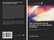 Bookcover of Una evaluación de los factores de la vida laboral y familiar