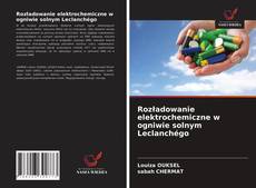 Rozładowanie elektrochemiczne w ogniwie solnym Leclanchégo的封面