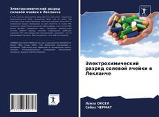 Bookcover of Электрохимический разряд солевой ячейки в Лекланче