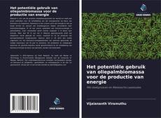 Bookcover of Het potentiële gebruik van oliepalmbiomassa voor de productie van energie