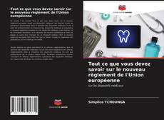 Bookcover of Tout ce que vous devez savoir sur le nouveau règlement de l'Union européenne