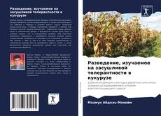 Bookcover of Разведение, изучаемое на засушливой толерантности в кукурузе