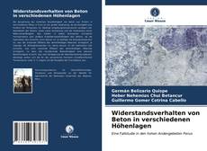 Portada del libro de Widerstandsverhalten von Beton in verschiedenen Höhenlagen