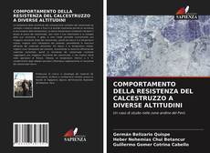 Portada del libro de COMPORTAMENTO DELLA RESISTENZA DEL CALCESTRUZZO A DIVERSE ALTITUDINI