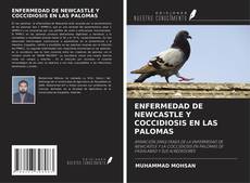 Bookcover of ENFERMEDAD DE NEWCASTLE Y COCCIDIOSIS EN LAS PALOMAS