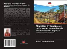 Bookcover of Migration irrégulière et défis sécuritaires dans le nord-ouest du Nigeria