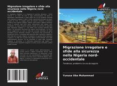 Portada del libro de Migrazione irregolare e sfide alla sicurezza nella Nigeria nord-occidentale